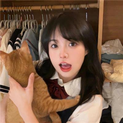 国土安全第二季